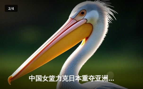 中国女篮力克日本重夺亚洲杯 韩旭23+16荣膺MVP - 2